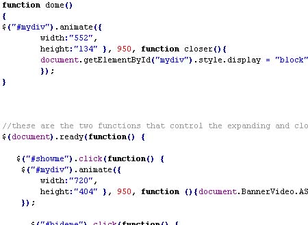 Javascript and Actionscript