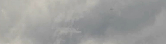 visitors banner